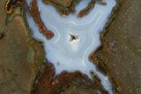 Colorful Polished Thunderegg Half - Nevada #337804-1